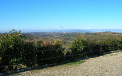 Appartamento in agriturismo vicino Firenze con piscina e vista panoramica
