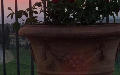 Appartamento in agriturismo vicino Firenze con piscina e vista panoramica