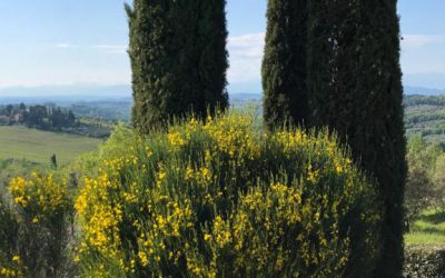 Appartamento in agriturismo vicino Firenze con piscina e vista panoramica