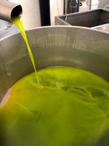 olio extra vergine di oliva toscano Podere Ghiole