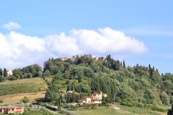 vino e olio podere ghiole